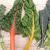 Proprietà e benefici della verdura a foglia verde