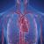 Malattie cardiovascolari: sintomi, cause e prevenzione