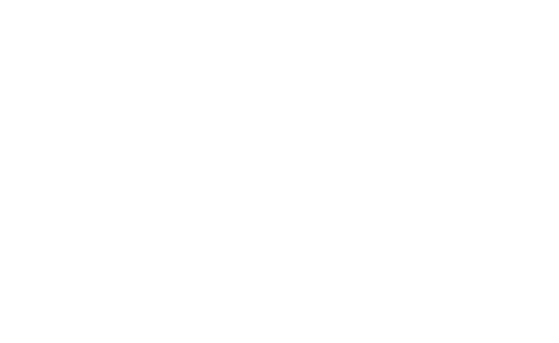Italian Medical News logo
