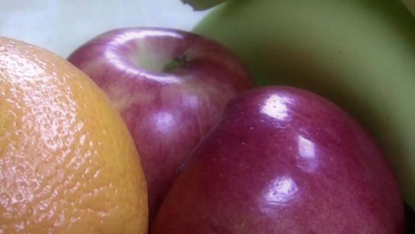 L'ALIMENTAZIONE: LA DIETA