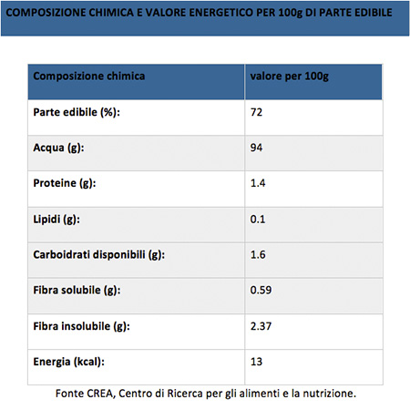 tabella valori nutrizionali Radicchio di Treviso