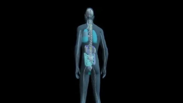 Andropausa e tiroide: le implicazioni sulla vita sessuale
